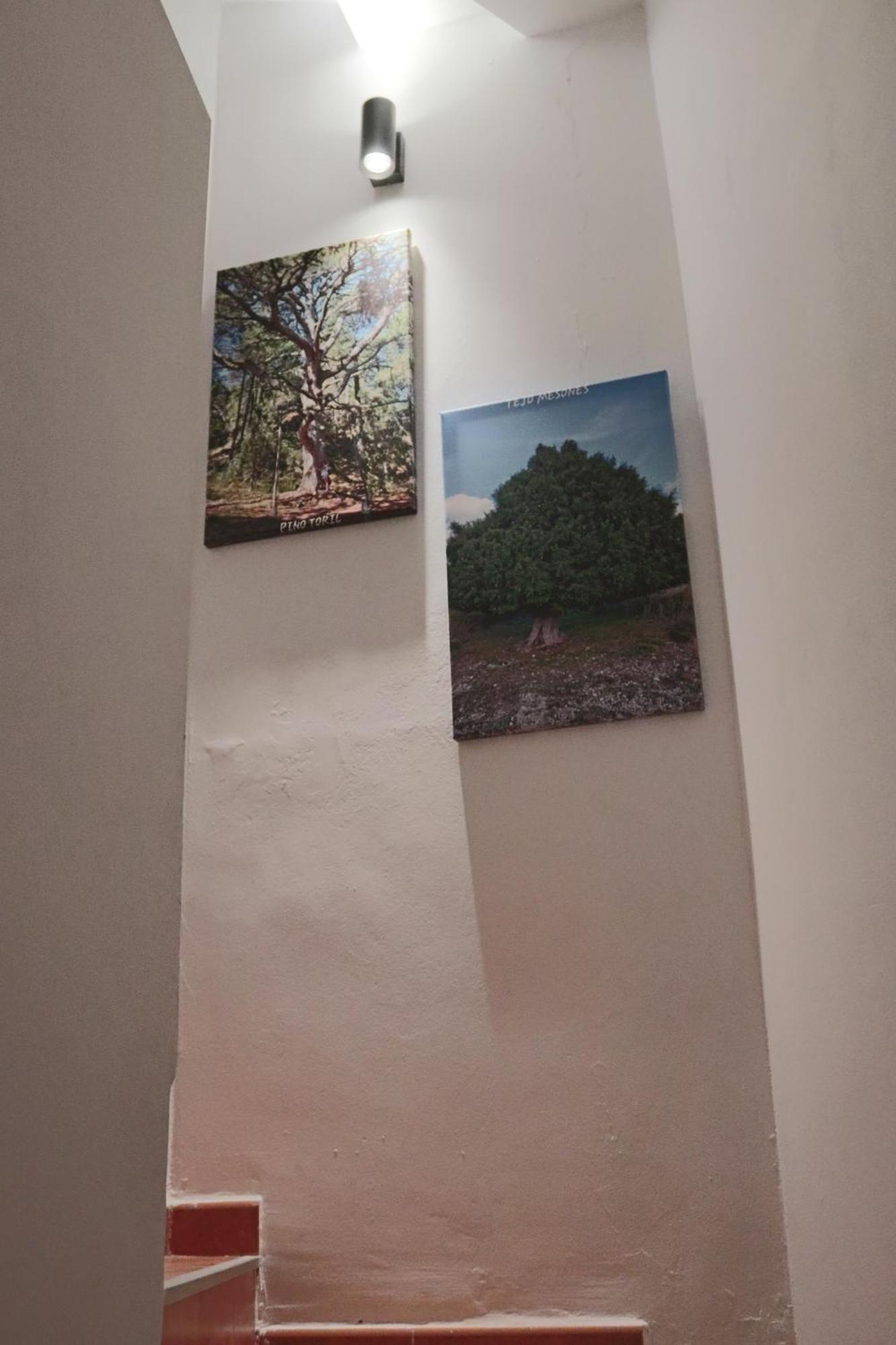 Casa 25 Villa รีโอปาร์ ภายนอก รูปภาพ